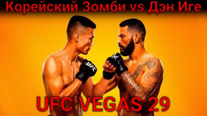 UFC Vegas 29